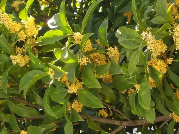 女生可以去自习室自习吗？