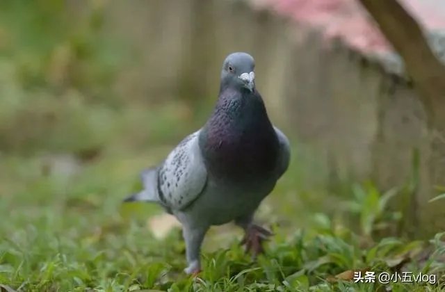 怎样做生意好？