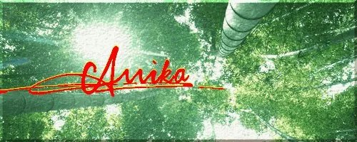 英文及中文艺术签名设计