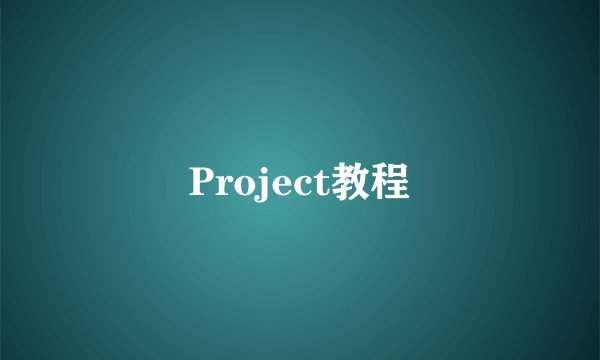 Project教程
