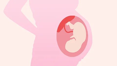 脐带异常是什么原因造成的