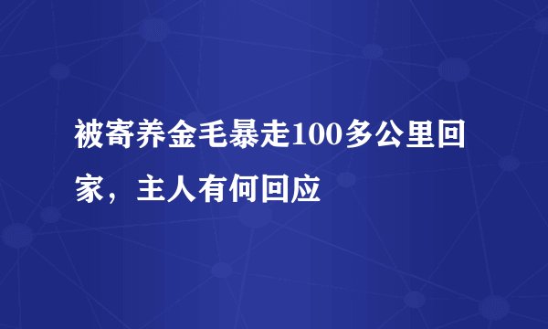 被寄养金毛暴走100多公里回家，主人有何回应