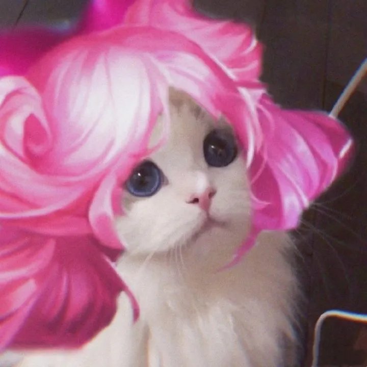 《王者荣耀》猫咪接头头像大全