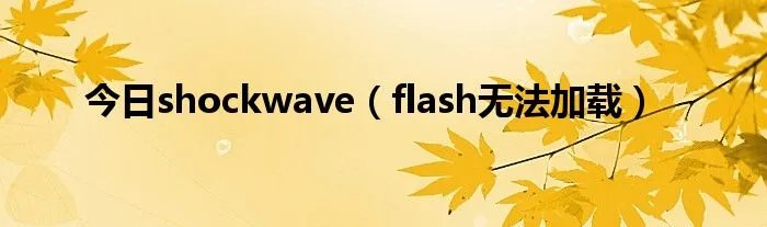 今日shockwave（flash无法加载）