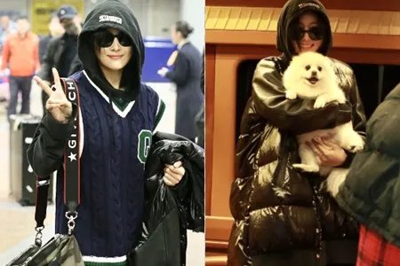 张馨予素颜逛菜场引围观 身穿嘻哈装现身机场获爱犬迎接