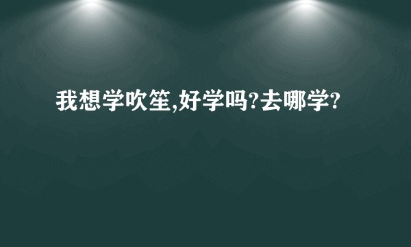 我想学吹笙,好学吗?去哪学?