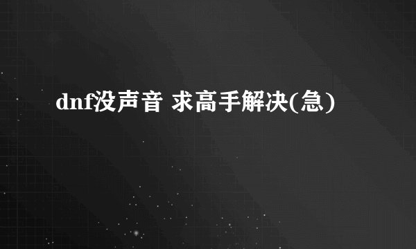 dnf没声音 求高手解决(急)