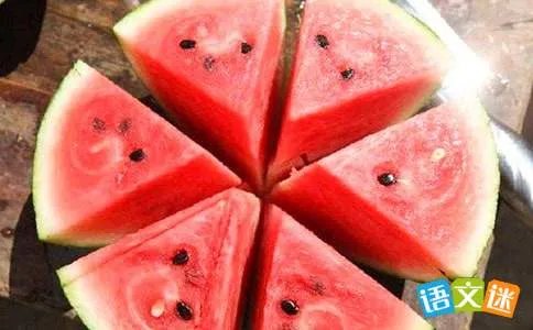 可爱的西瓜宝宝