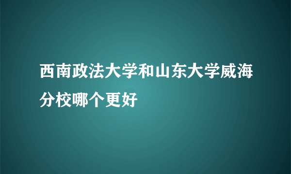 西南政法大学和山东大学威海分校哪个更好