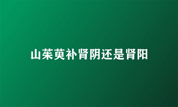 山茱萸补肾阴还是肾阳