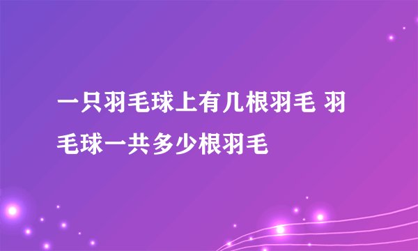 一只羽毛球上有几根羽毛 羽毛球一共多少根羽毛