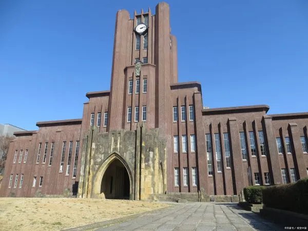 大学教育中，普遍存在的问题有哪些？