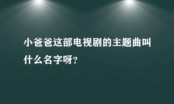 小爸爸这部电视剧的主题曲叫什么名字呀？