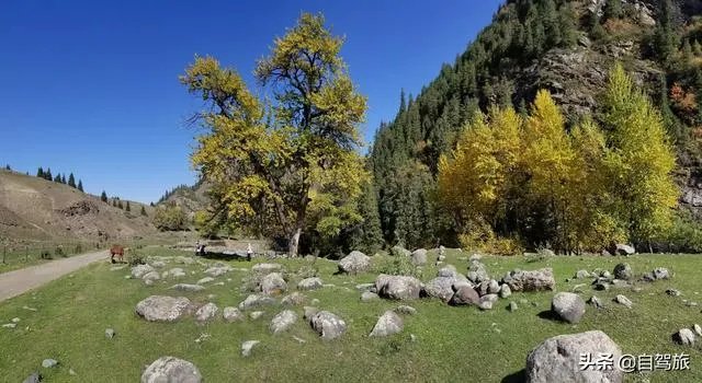 一日游去哪里好玩?