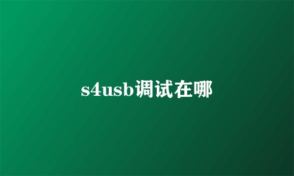 s4usb调试在哪