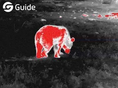 为什么要使用红外热像仪？