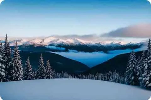 在线算命免费八字预测