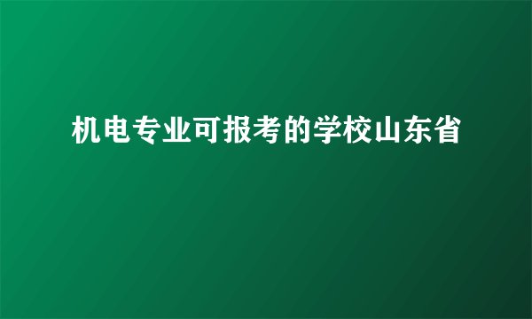 机电专业可报考的学校山东省