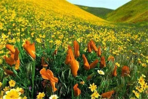 新疆乌鲁木齐有哪些特色？