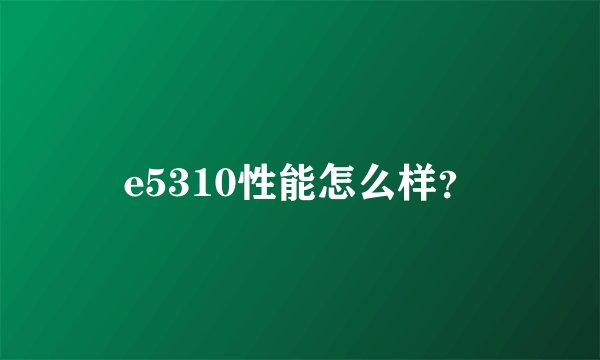 e5310性能怎么样？
