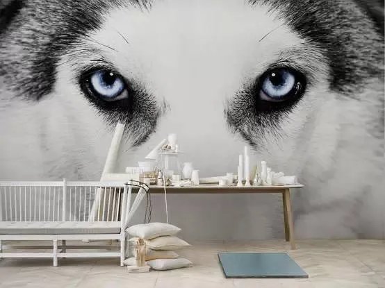 别怀疑，搭配的好壁纸也可以很有逼格！