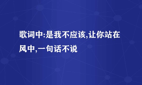 歌词中:是我不应该,让你站在风中,一句话不说