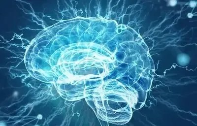 首次证明人脑细胞在体外也有智力：可在培养皿中打游戏，这意味着啥？