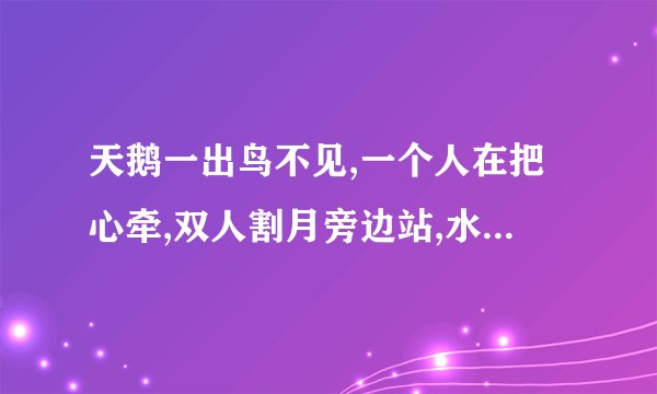 天鹅一出鸟不见,一个人在把心牵,双人割月旁边站,水落几处又落天,
