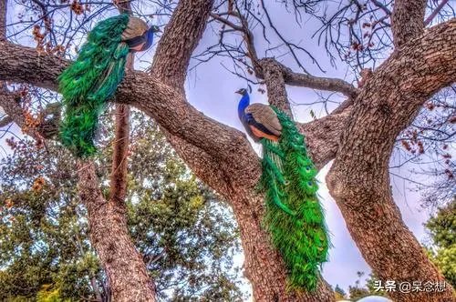 出联（1079）上联：中华腾飞，巾帼英雄创大业，如何对下联？