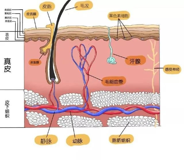 角质护理就是单纯的去角质吗？应该怎样做角质护理？