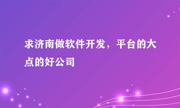求济南做软件开发，平台的大点的好公司