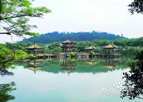 深圳到肇庆七星岩鼎湖山二日游