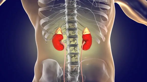 尿血吃什么药好