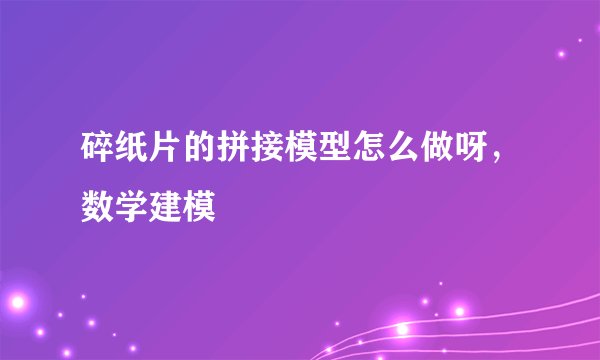 碎纸片的拼接模型怎么做呀，数学建模