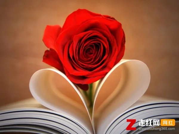 我爱你一定爱到花都开了鸟儿把歌唱是什么歌，一定要爱你歌曲介绍