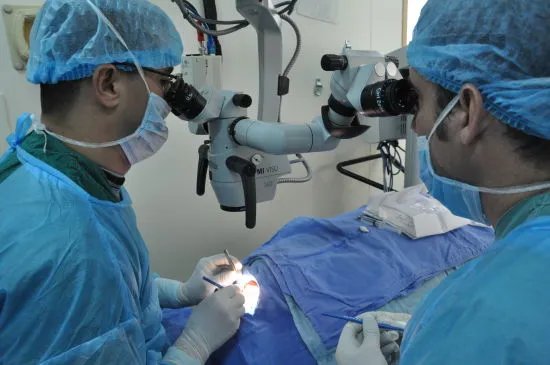 眼科手术中文版的游戏介绍