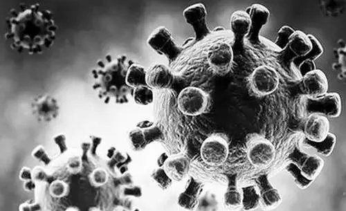 mers是什么意思啊