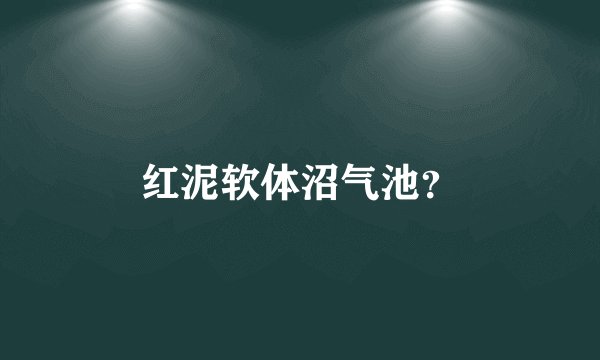 红泥软体沼气池？