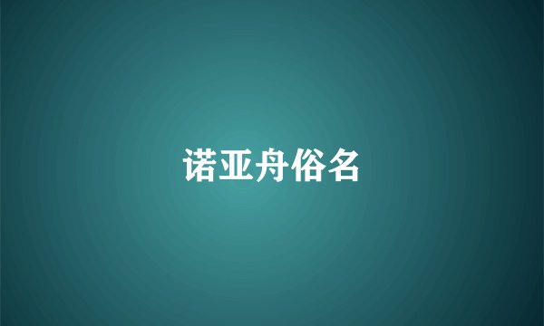 诺亚舟俗名