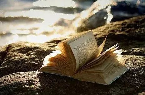 一本你喜爱的书就是什么填空题，也是什么？