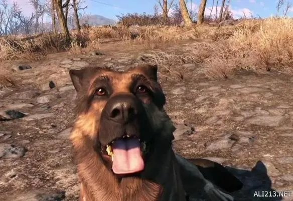 E3 2015：必然质的飞跃！《辐射4(Fallout 4)》E3版本与《辐射3》截图对比