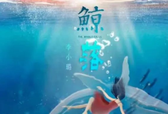 走到枯树下面开了一朵花是什么歌