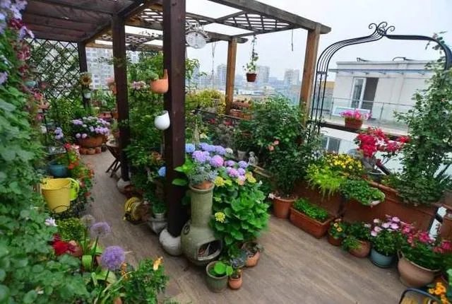 露天做个花园可以这么漂亮，昆明有钱人都这样装，羡慕