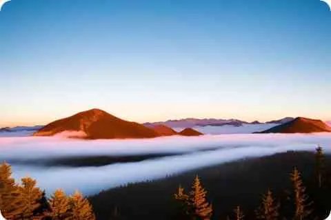 鞠萍姐姐个人简历【图】