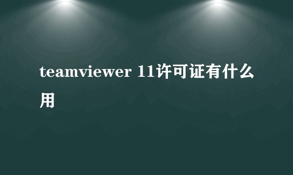 teamviewer 11许可证有什么用