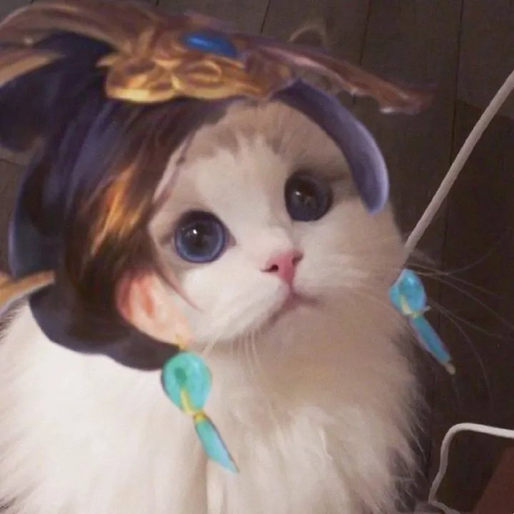 《王者荣耀》猫咪接头头像大全