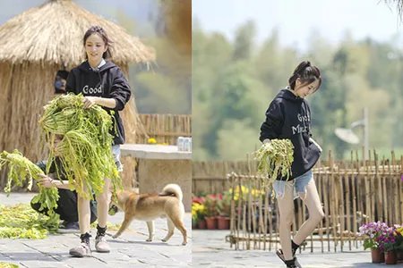 佟丽娅张亮身高差很萌 丫丫节目照曝光双腿又细又白