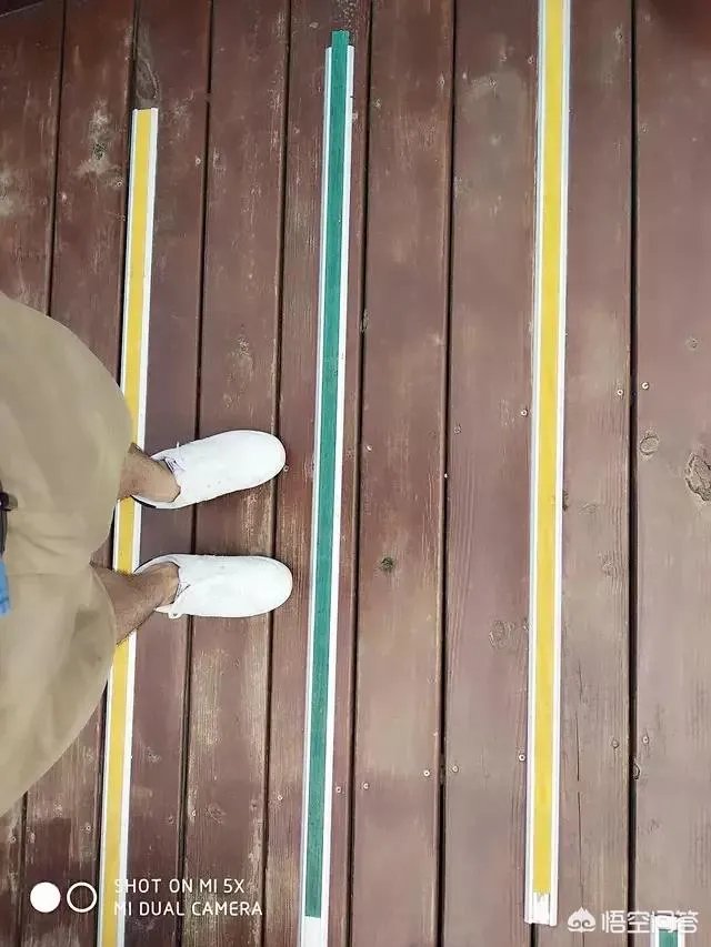 海丝动物园好玩吗