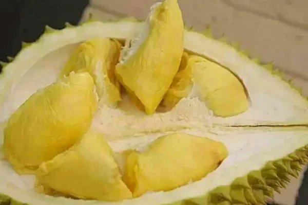 去泰国旅游,看见哪种榴莲千万别买?