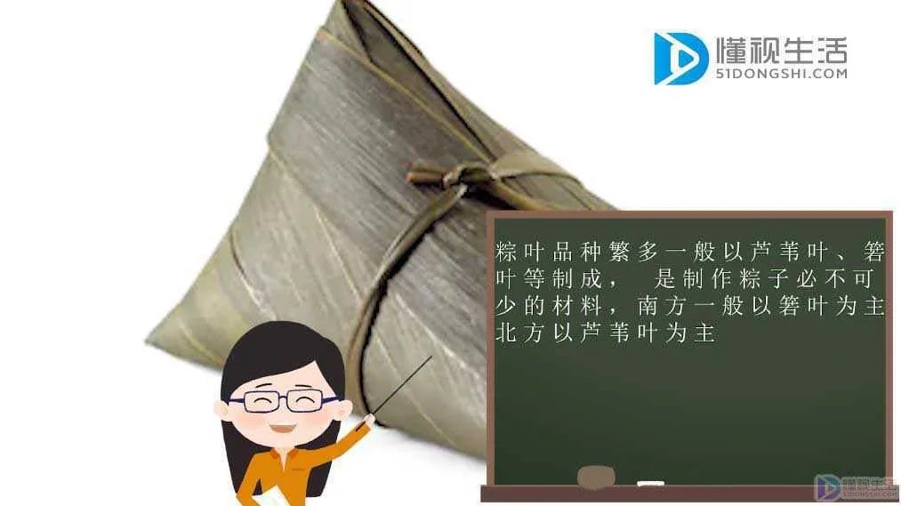 粽叶是什么叶子